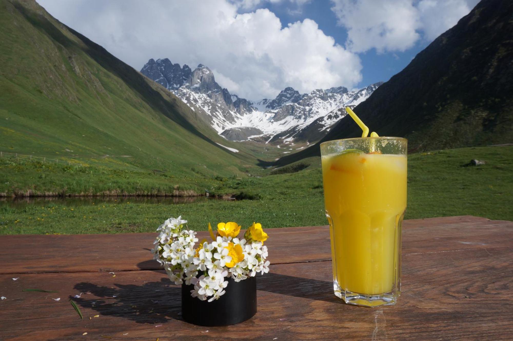 Villa Januka Garden At Sno Kazbegi Exterior foto