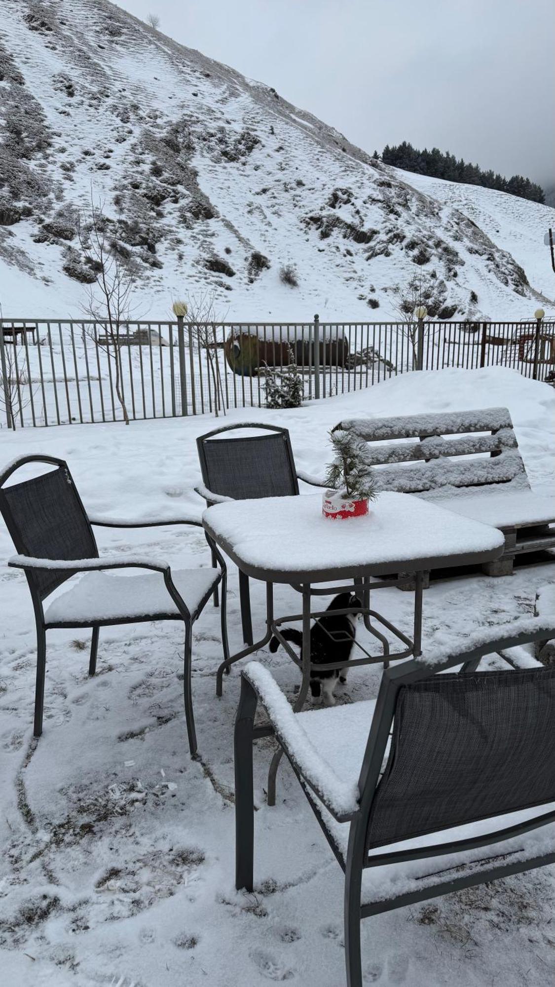 Villa Januka Garden At Sno Kazbegi Exterior foto